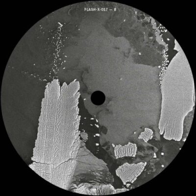 Florian Meindl x Anml Mthr | Mindhunter EP | Flash-X-017