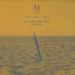 Andrei Ciubuc & Frost | 2 Sides Of The Spatel | MALONIAN006