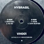 Hybrasil | Sentinel | VH001