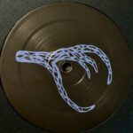 Denise Rabe | The Tortoise And The Eagle | RABE004